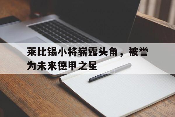 莱比锡小将崭露头角，被誉为未来德甲之星